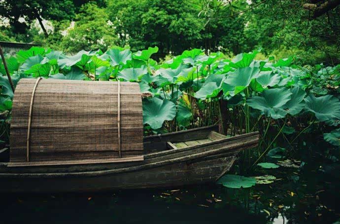 林深草木四时润,日薄窗棂多半凉_spirra思派朗论坛_手机汽车之家