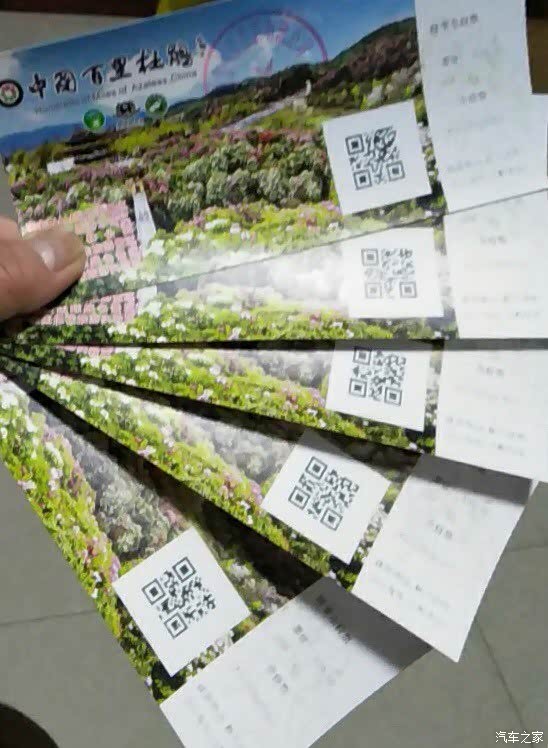 百里杜鹃姹紫嫣红,体验芬芳百里