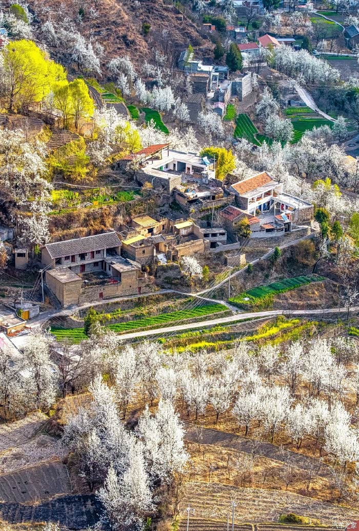 金川县大金川河谷一个被梨花包围的仙境