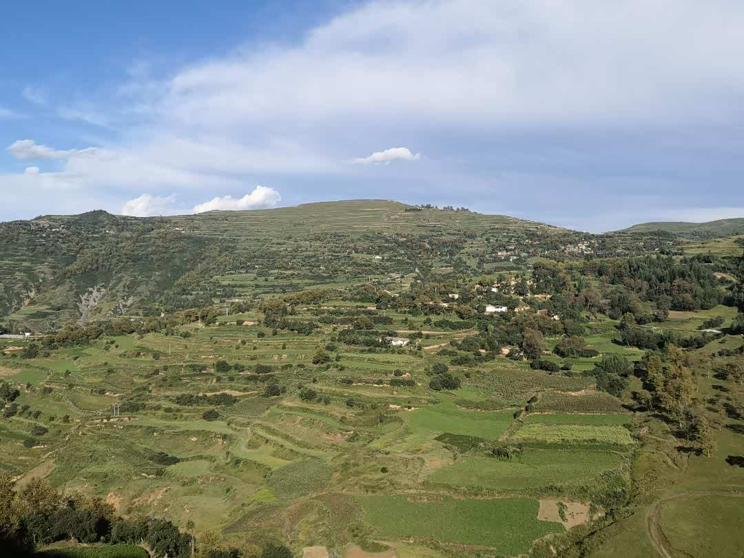 甘肃岷县西江镇,很少有人知道这里秀美的风景!