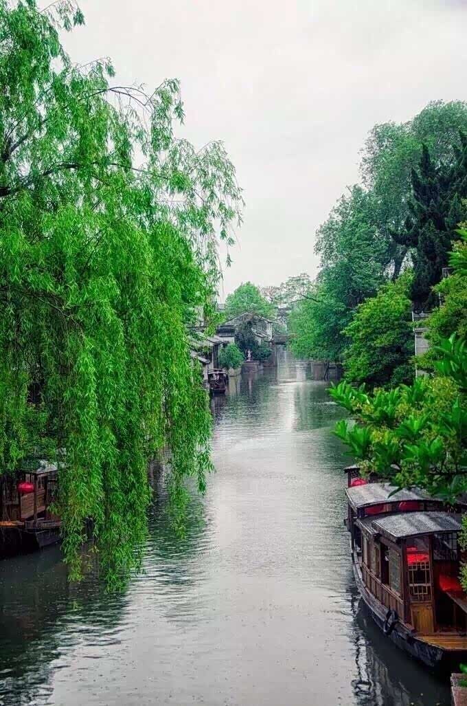 全球寻拍# 南浔古镇的春天,既有烟雨江南的迷蒙,也有绚烂多