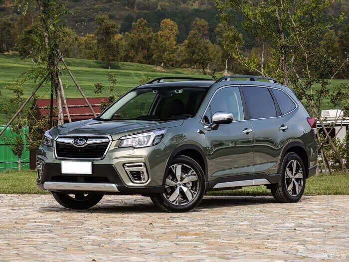 19款,森林人哪种颜色最漂亮?