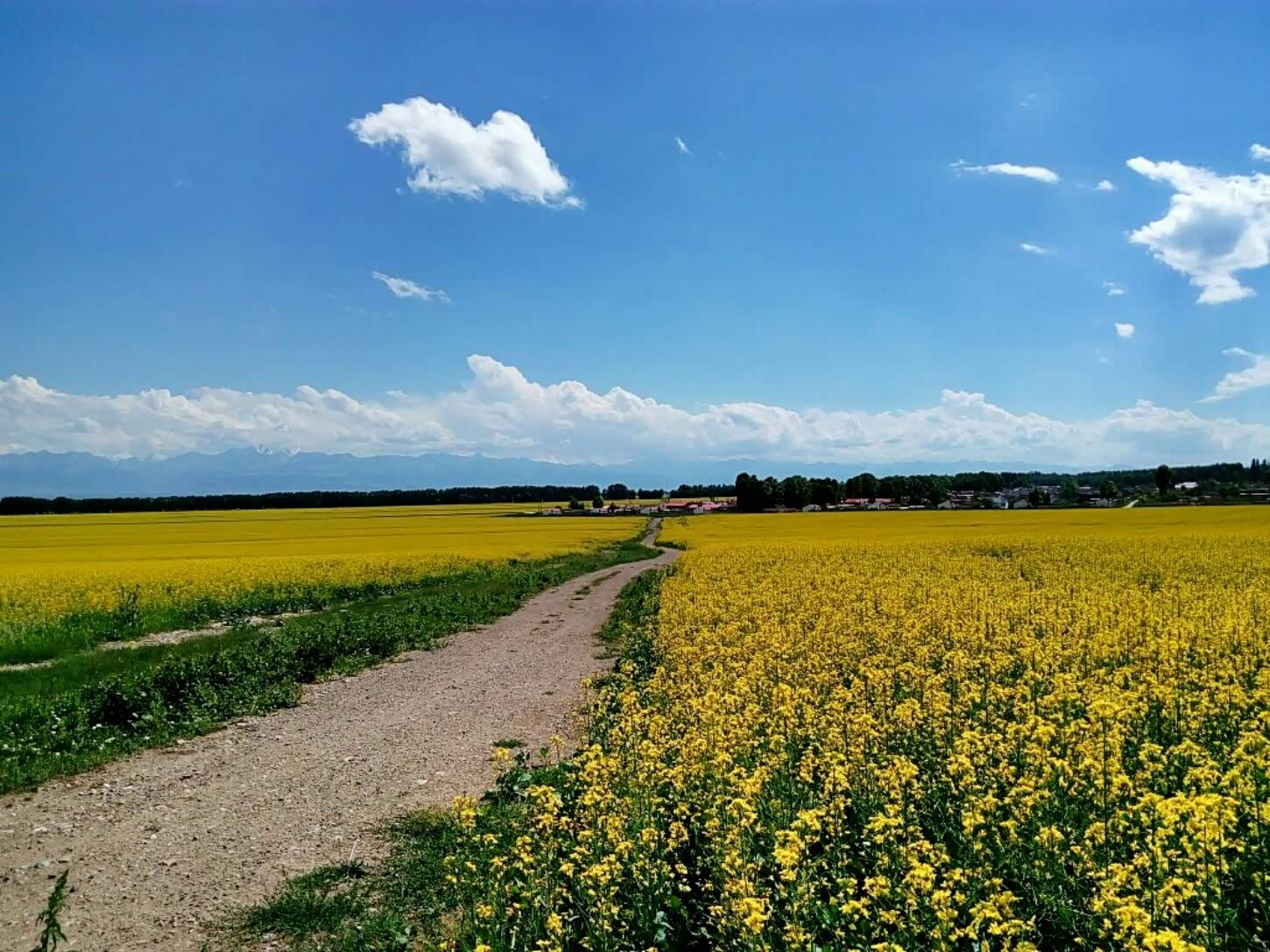 美丽风光无限好,清风拂面,碧水蓝天风景独好