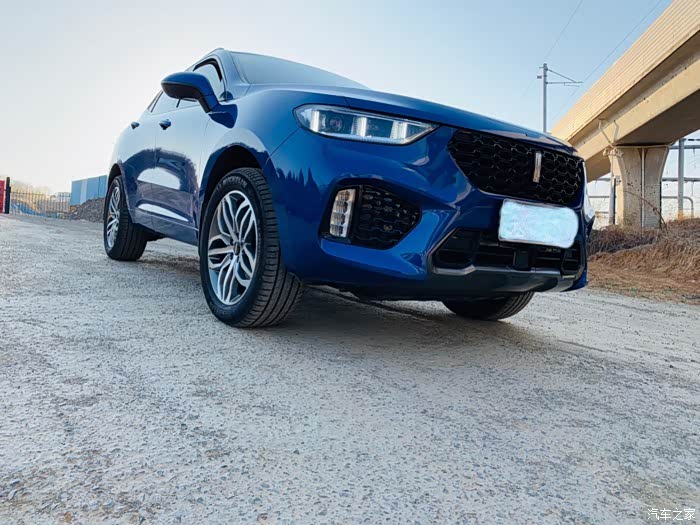 樱花盛开的季节长城魏派vv5你值得拥有