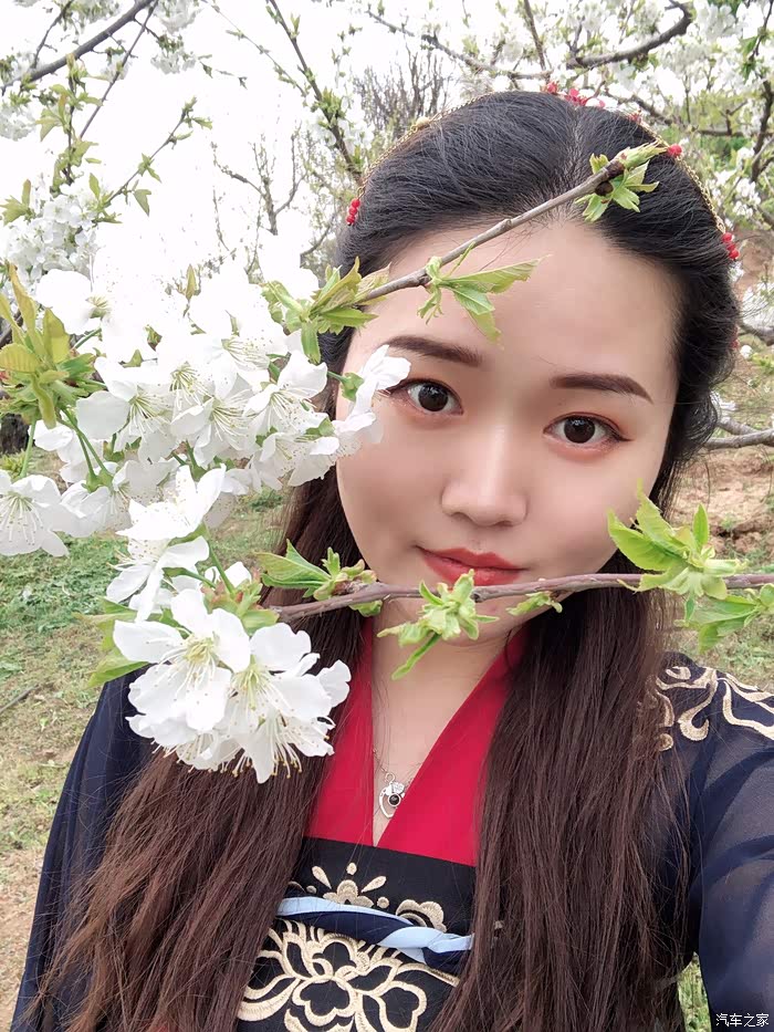 人面桃花相映红陕西女娃穿越记