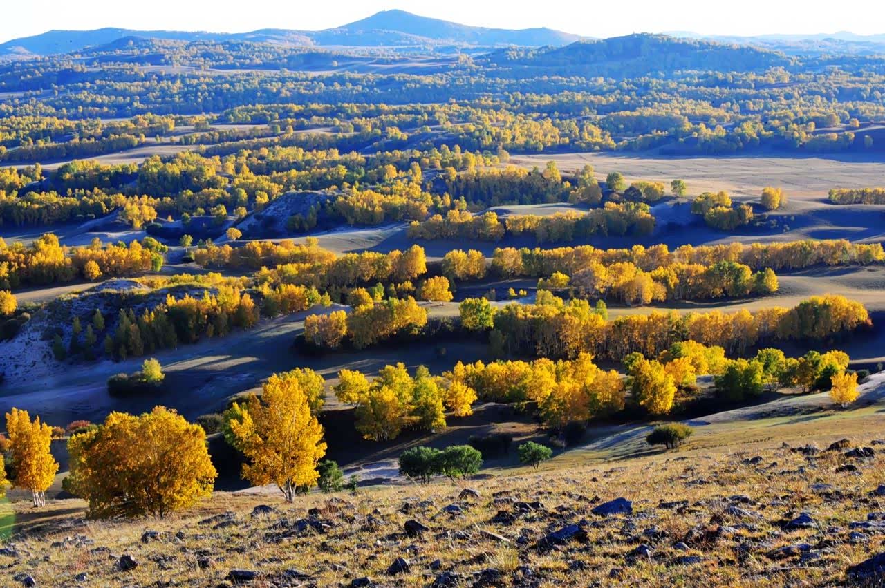 塞罕坝位于河北省承德市围场满族蒙古族自治县境内景色迷人