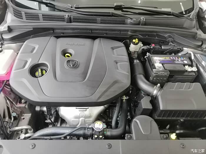 一看到你就决定带你回家长安逸动plus