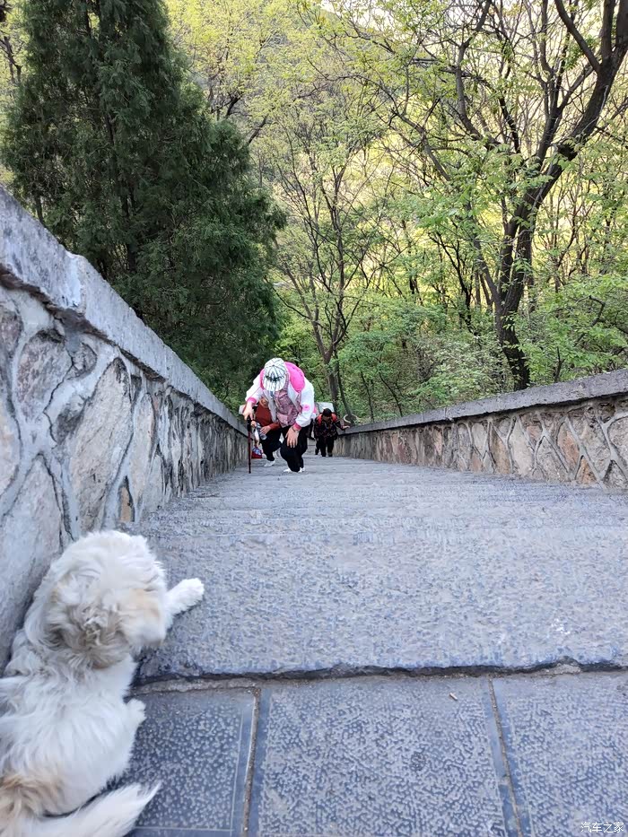 去嵩山少林寺登少室山的好汉坡