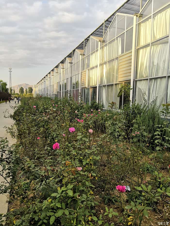 汽车之家贵州哈弗车友圈 贵阳热带植物园