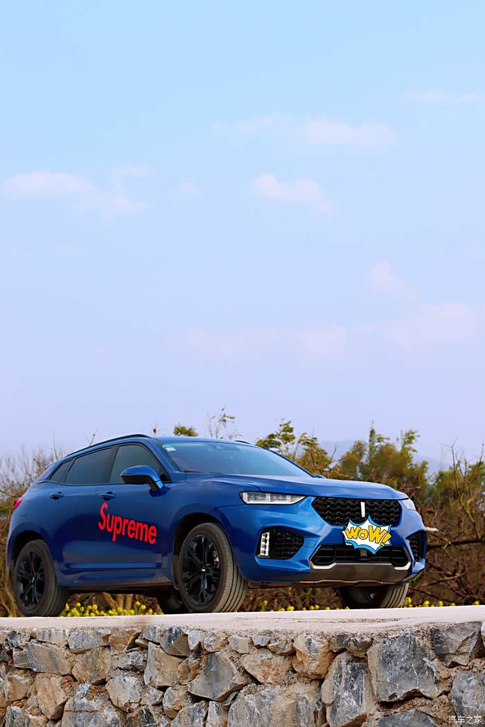 【图】【用车有道】聊一聊vv7有趣的全景影像功能