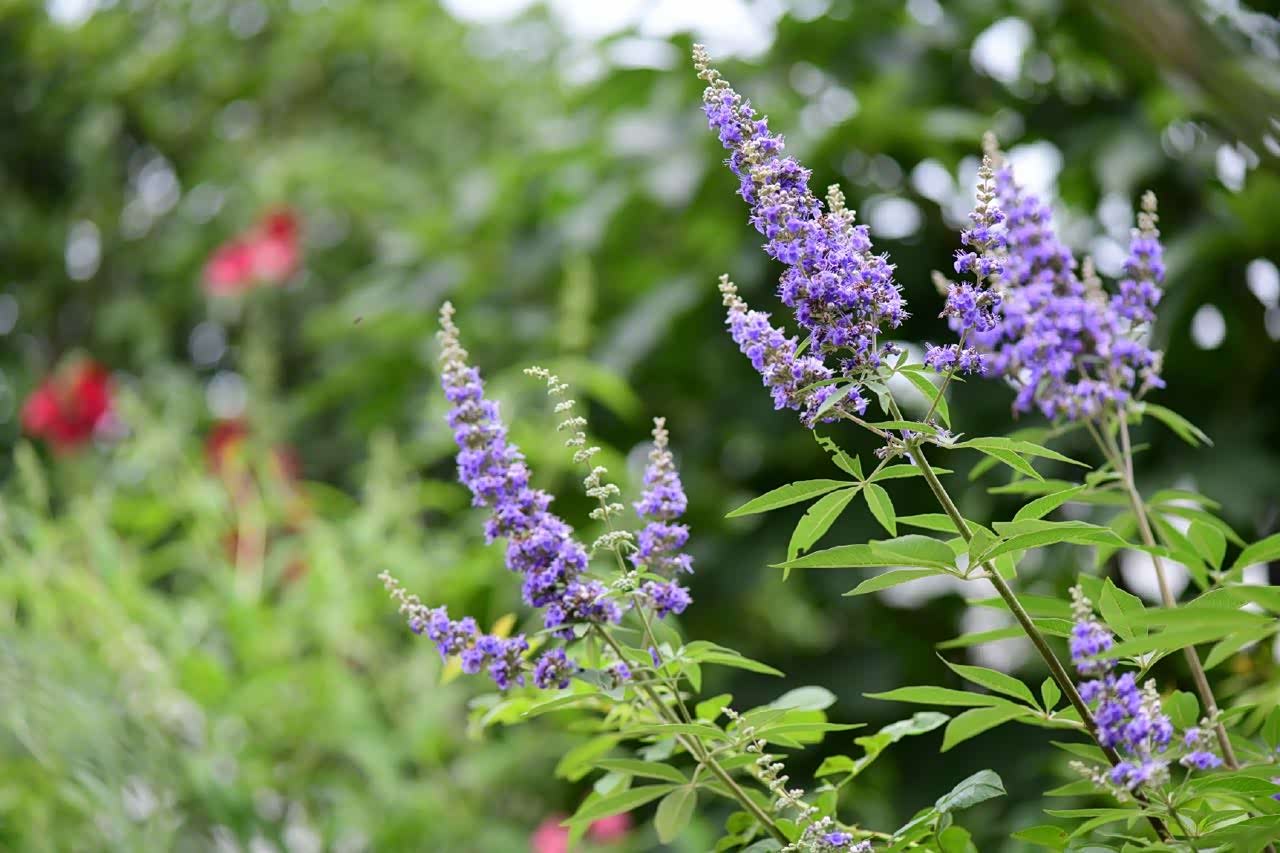 江南已进入黄梅季大概隔着屏幕都能感受到空气的黏湿闷热吧