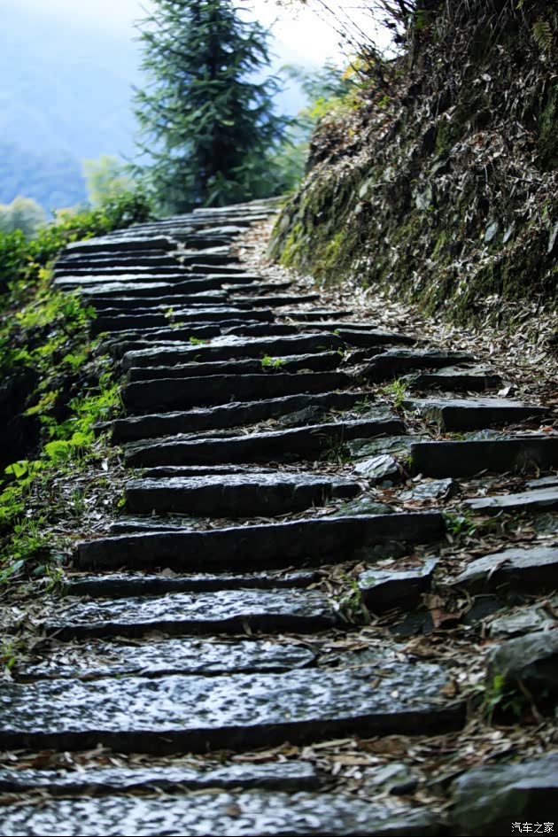 旌歙古道徒步行