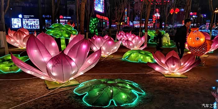 型鲨出没赏花粉灯,赶紧避让!