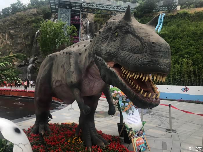 魅力轿跑带你走进"侏罗纪"恐龙世界-2020.5.