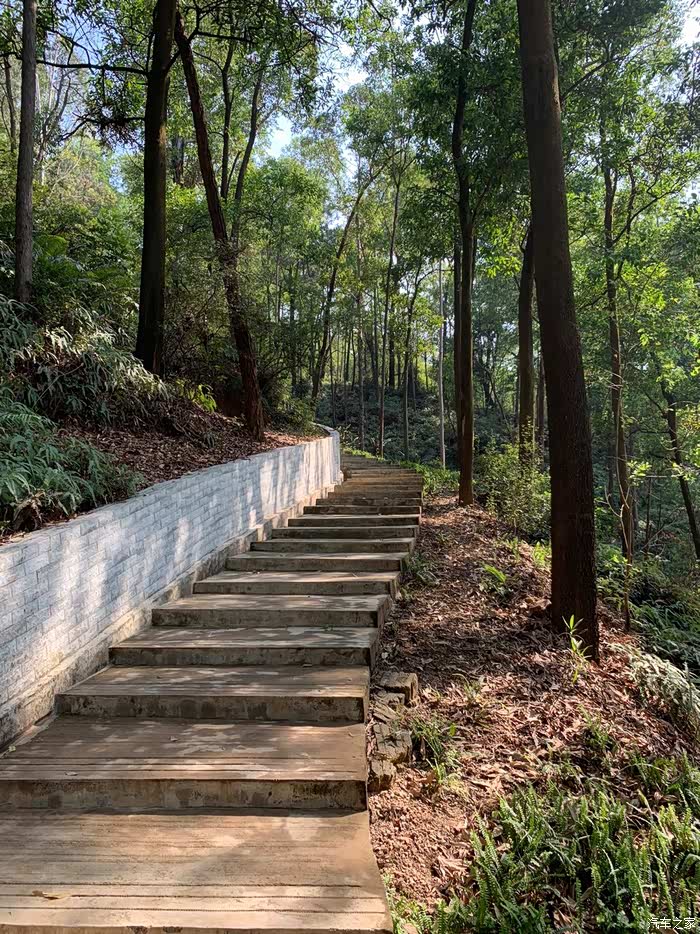 中山的尖角岭森林公园