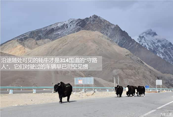 113 | 回复: 0 帝豪论坛 用车轮丈量喀喇昆仑