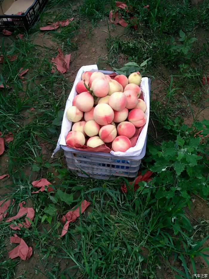 【图】糊涂虫的保养游记_哈弗h6论坛_汽车之家论坛