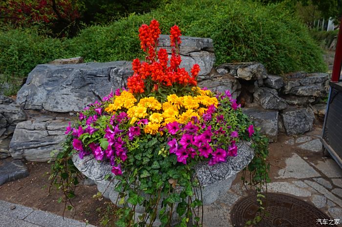 五一曬旅行日記跟著老婆全國遊北京篇國家植物園