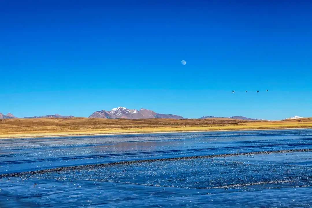 地处阿里地区措勤县境内的扎日南木错,湖面海拔4613 米