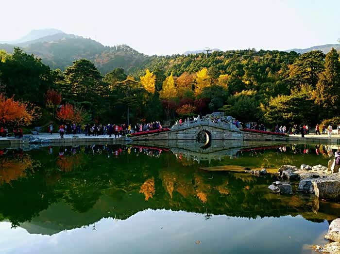 仲秋的香山公园,虽然也是绚丽多彩的,但主要的色彩是金黄色的.