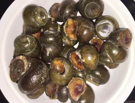 丸子田螺,把肉塞到田螺壳里的美味.