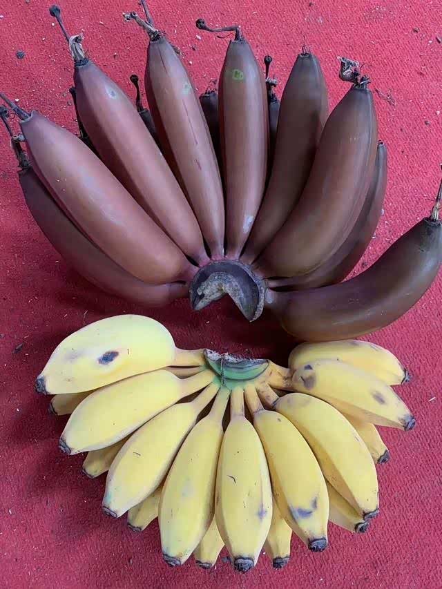 香蕉你见过这样的颜色吗?据说味道和黄色香蕉差不多