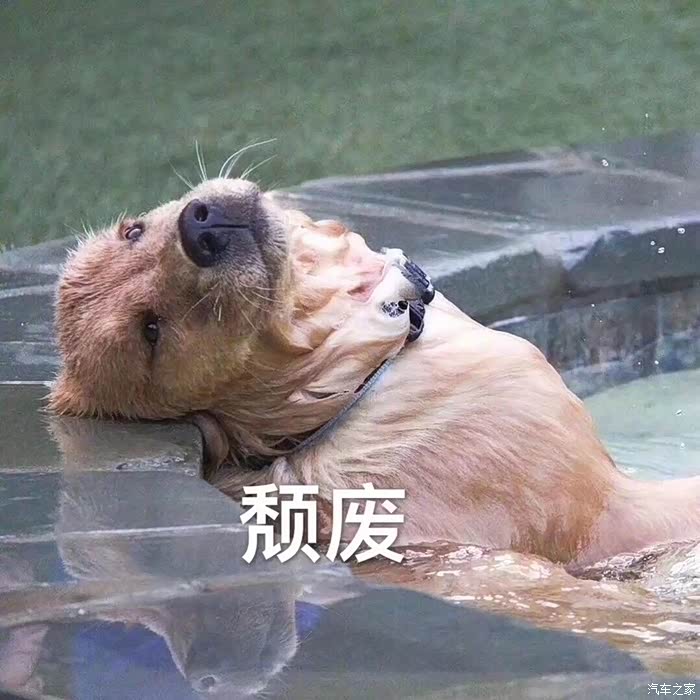 寻找2014款premium车主