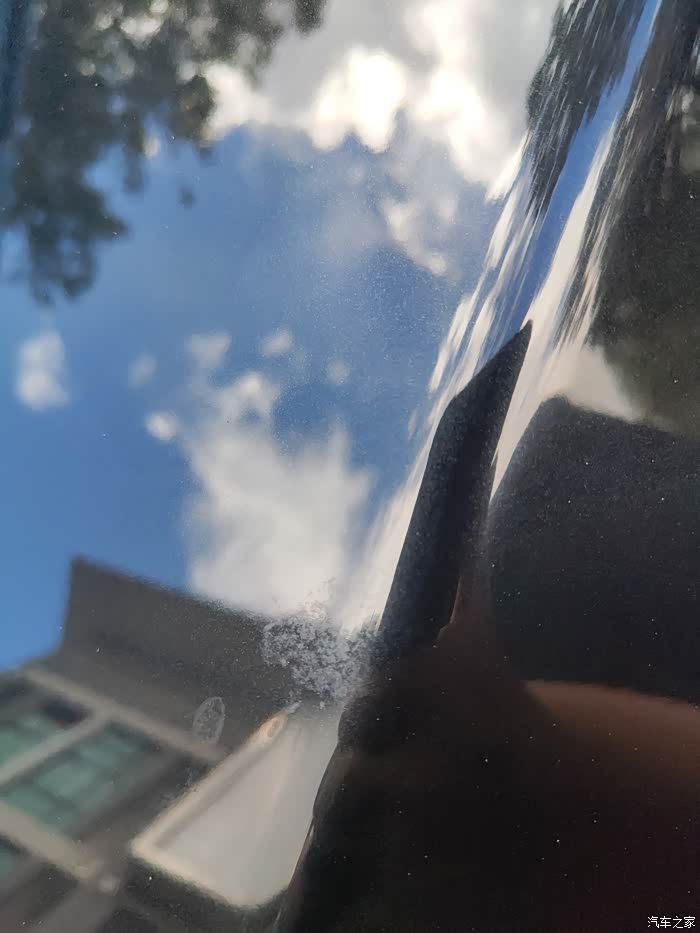 想请问一下各位大神车漆上的鸟屎印如何处理