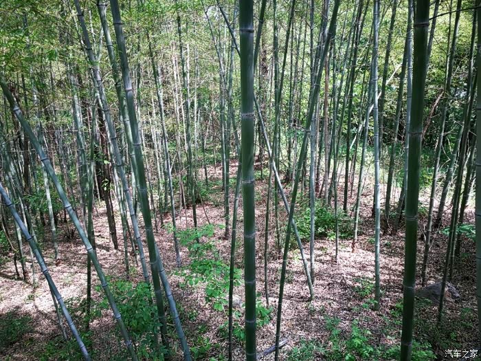 游溧水秋湖山 了解美丽的自然风光