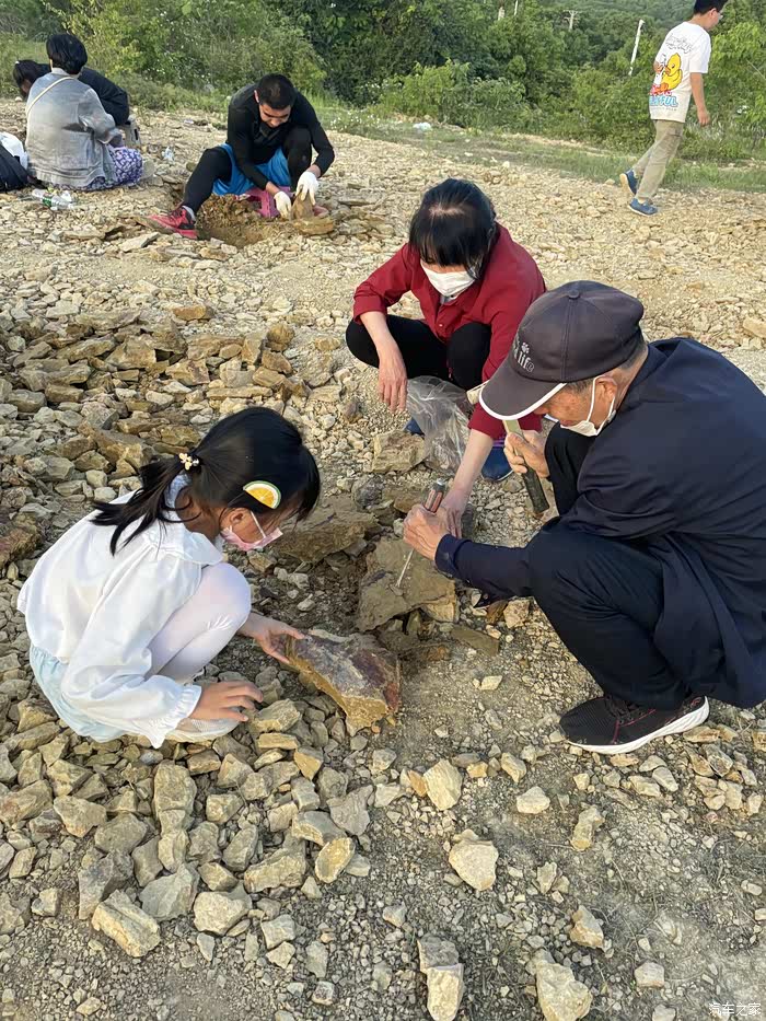 五一武汉蔡甸废弃矿山挖化石