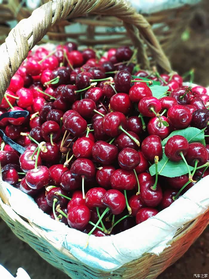 【18款帝豪gs】又是一年樱桃季