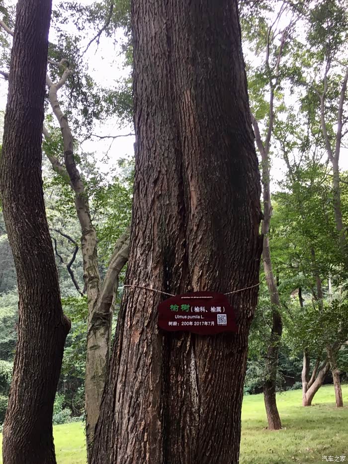 意料之外超值的半天游狼巷迷谷