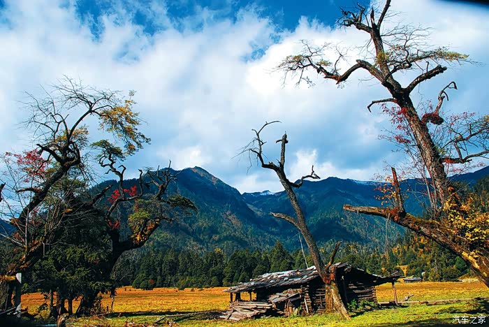 不美不要钱林芝米林县一日游自驾路线经验总结