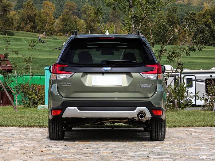 19款,森林人哪种颜色最漂亮?