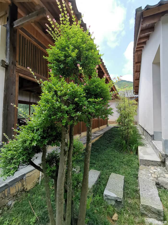 孑然一身清风拂面修行禅院