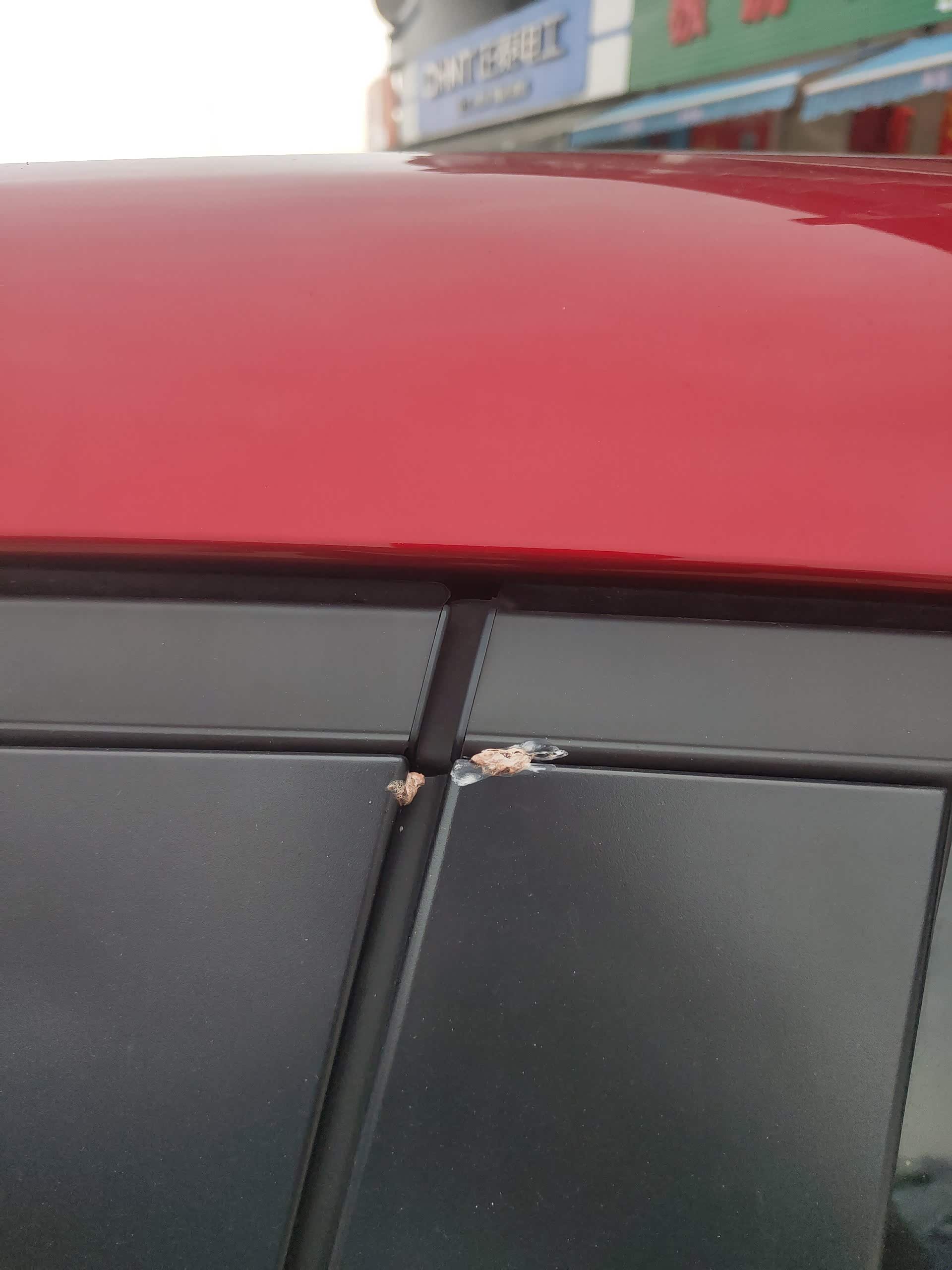 这是不是鸟屎红色的车是不是特别容易招鸟屎