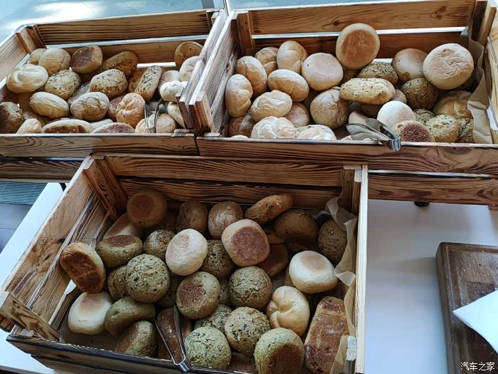 今年暑假带儿子去德国荷兰十七天游记 大量照