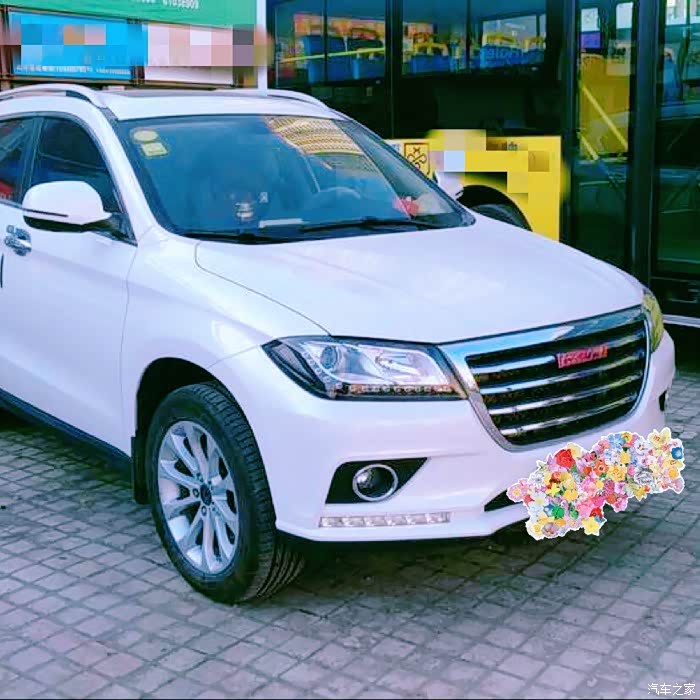 【图】成都游玩 熊猫基地看熊猫_哈弗h2论坛_汽车之家论坛