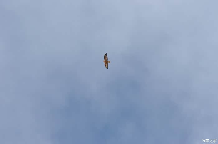 【图】《新名字想好了》征服天堂-2019春节单