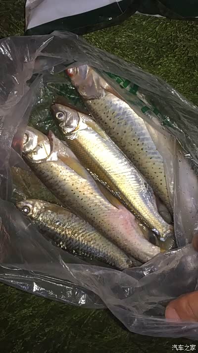 2019年4月好友一同游万绿湖