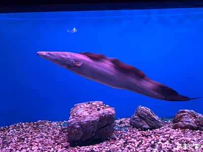 南京海底世界自驾游