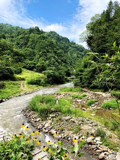 油草河等景区组成春天片生机盎然山花烂漫秋天层林尽染彩缤纷冬天白雪