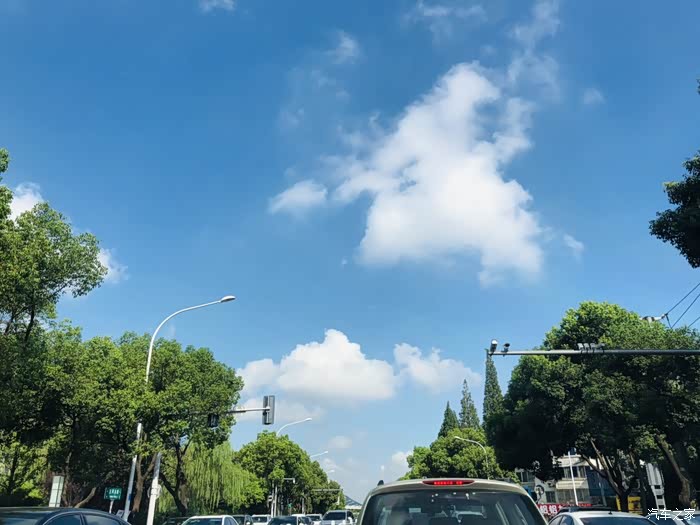 【为爱发声】阳光明媚的上午时光