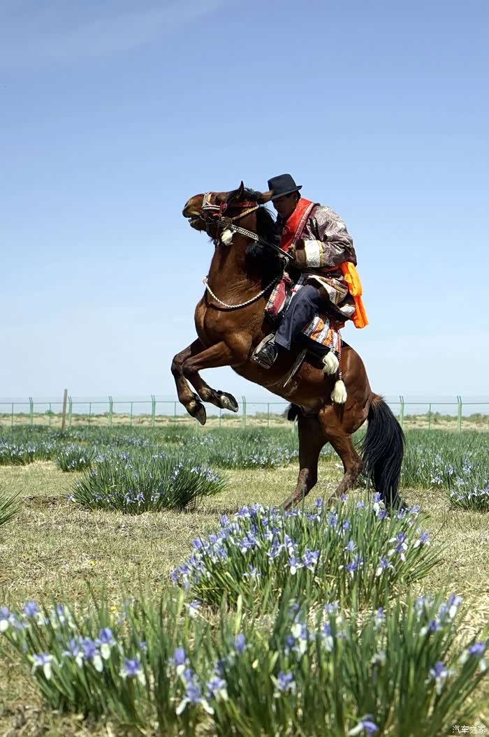 热情好客的蒙古人民