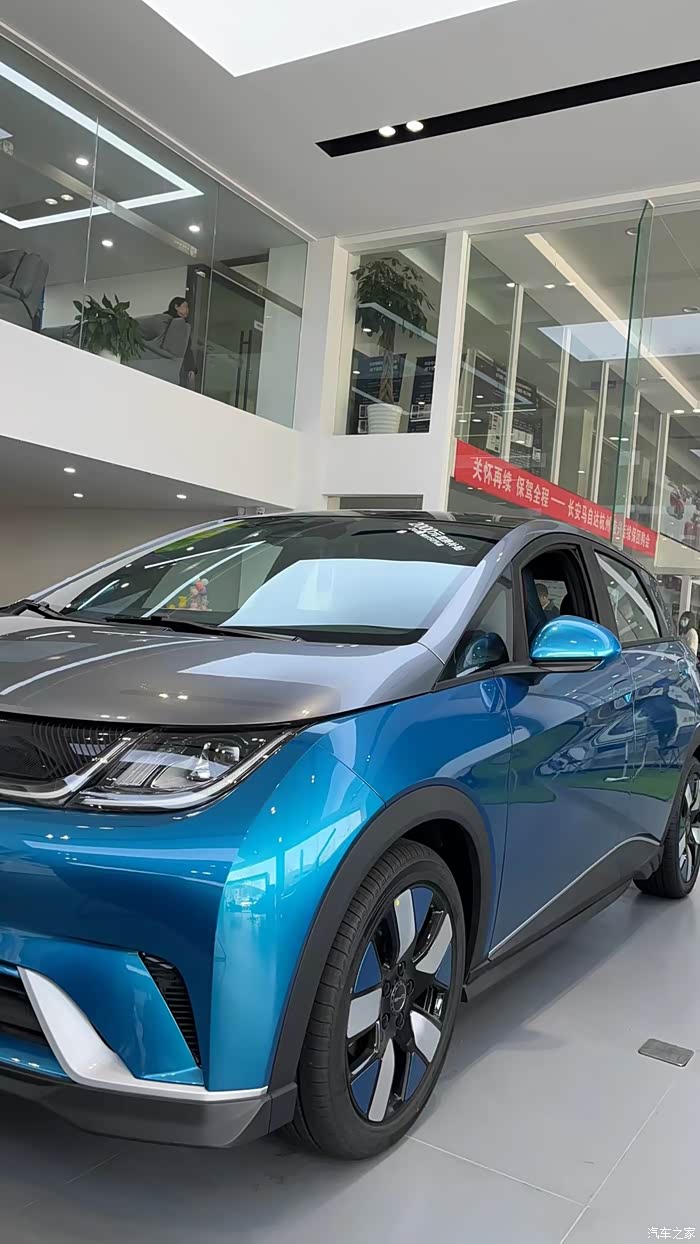 【图】深圳比亚迪海豚车友,请留言_海豚论坛_汽车之家论坛