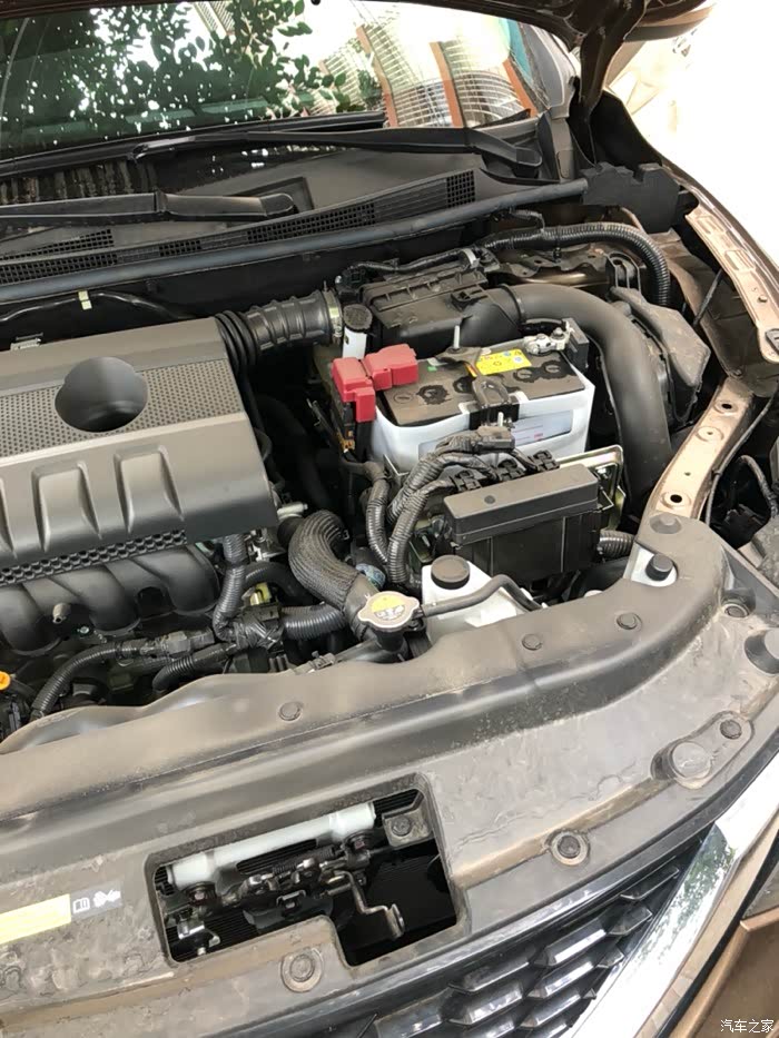 才两个月电瓶这样了