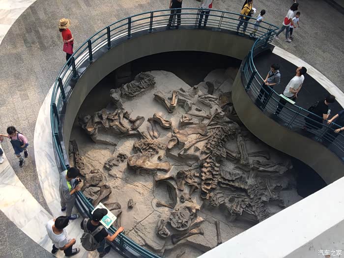 敢发就敢送#自贡游恐龙博物馆