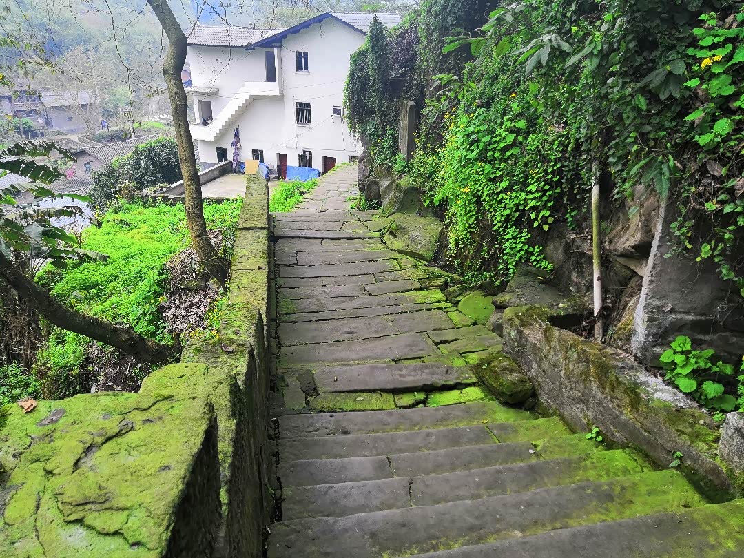 难得的一次盐马古道之行