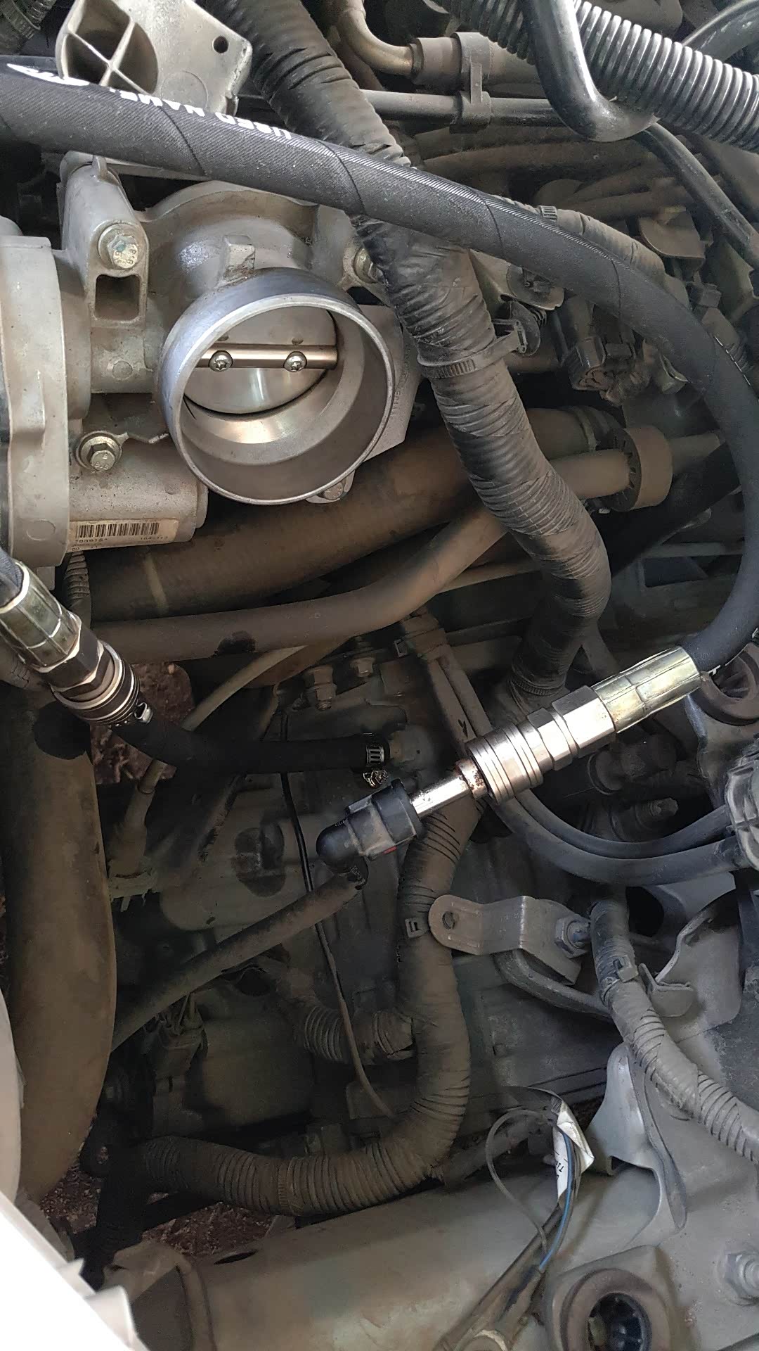 经典福克斯更换变速箱油记