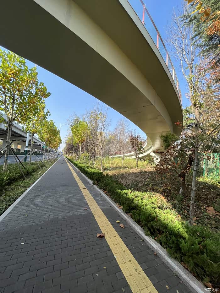 宝通街高架桥下的美景